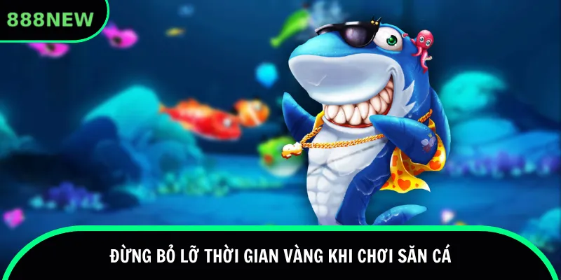 Đừng bỏ lỡ thời gian vàng khi chơi săn cá