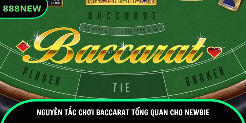 Nguyên tắc chơi Baccarat tổng quan cho newbie