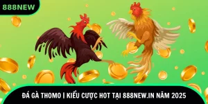 đá gà thomo